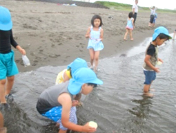 夏のイベント | 年間行事