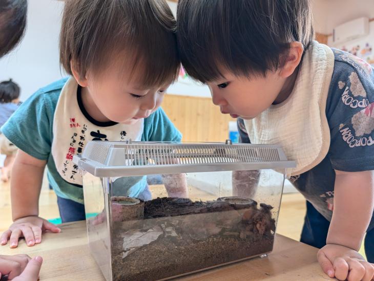 なんだ?(0・1歳児クラス)|認定こども園 北見のぞみ幼稚園