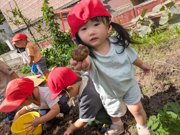 採れたよ！（0・1歳児クラス）｜認定こども園 北見のぞみ幼稚園